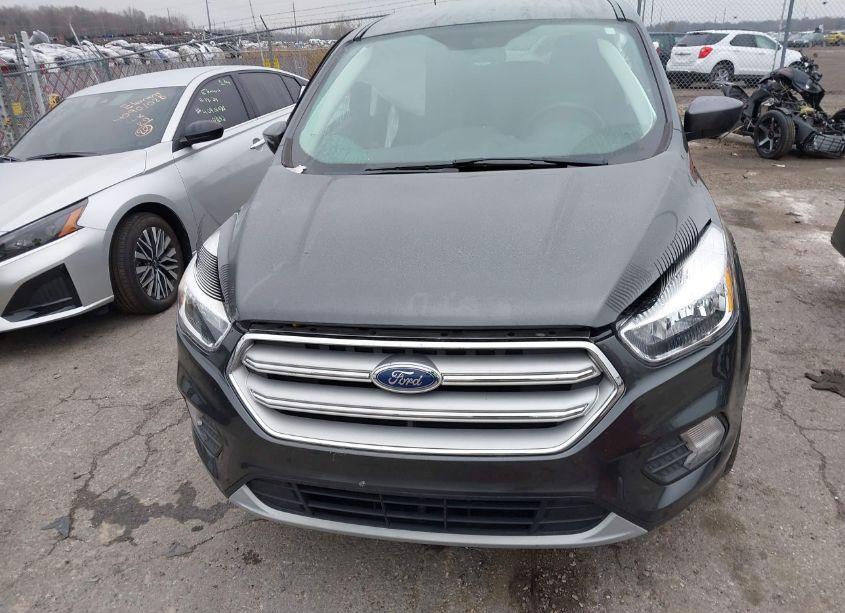 Photo 12 of 2019 Ford Escape SE (VIN 1FMCU9GD0KUB53662)