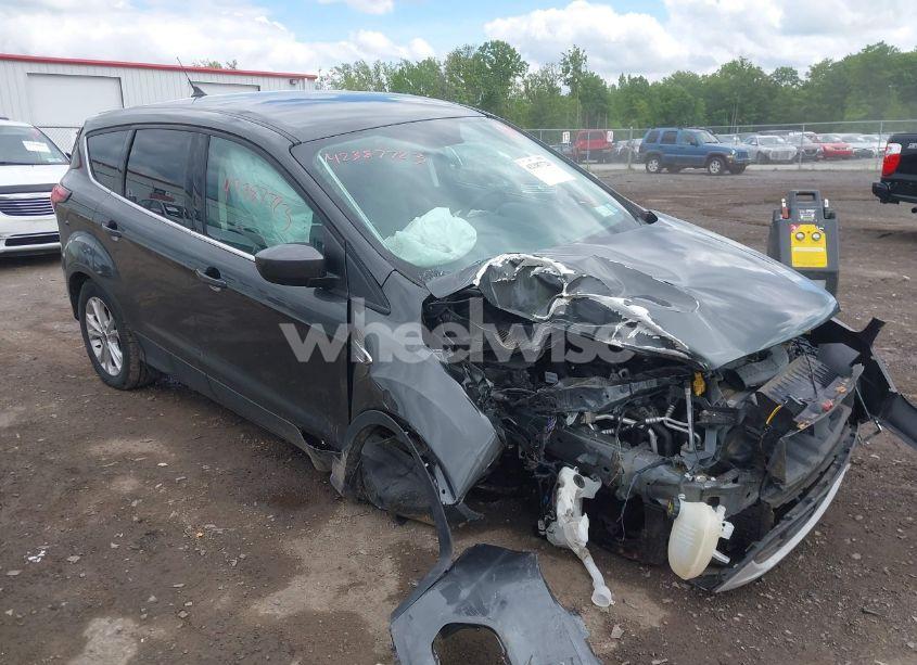 2019 Ford Escape SE (VIN 1FMCU9GD0KUC22429) main photo