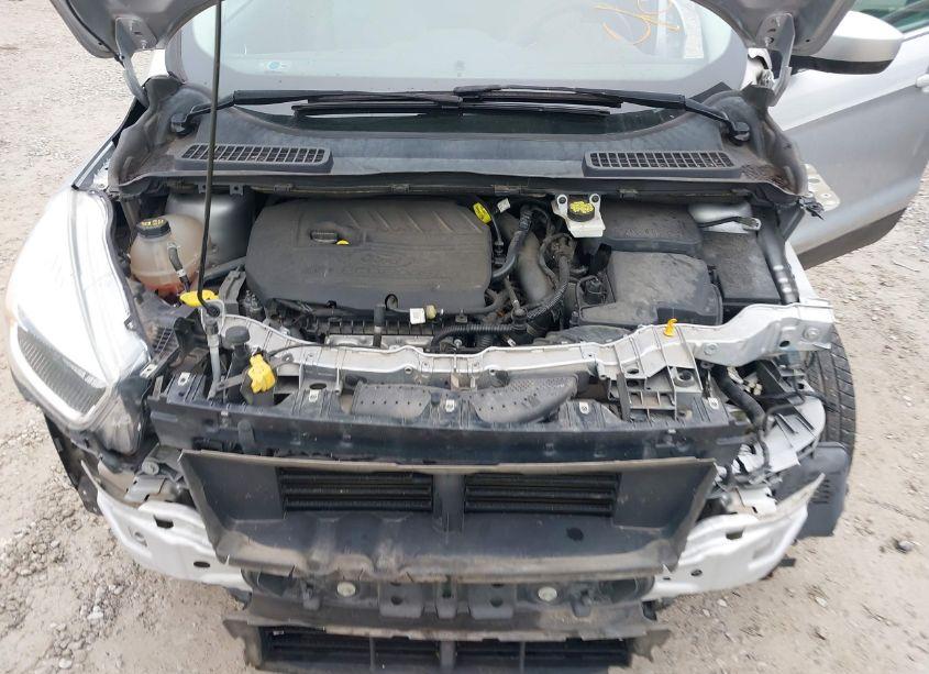 Photo 10 of 2017 Ford Escape SE (VIN 1FMCU9GD1HUC08936)