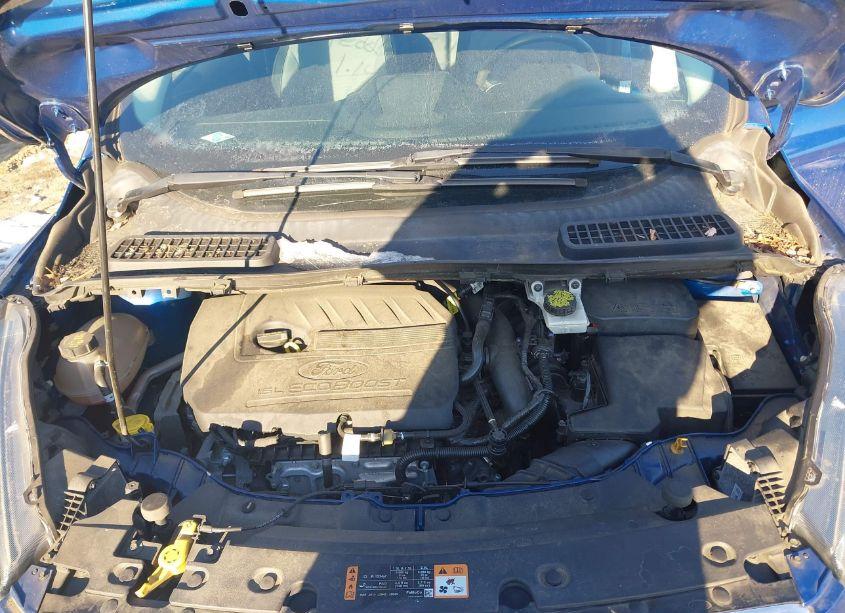 Photo 10 of 2017 Ford Escape SE (VIN 1FMCU9GD1HUC60826)