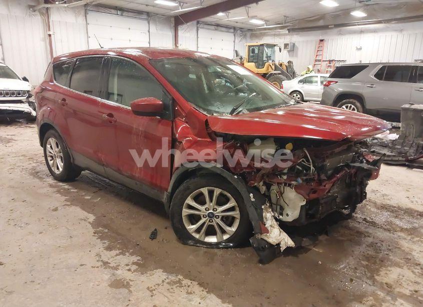 2019 Ford Escape SE (VIN 1FMCU9GD1KUA98431) main photo