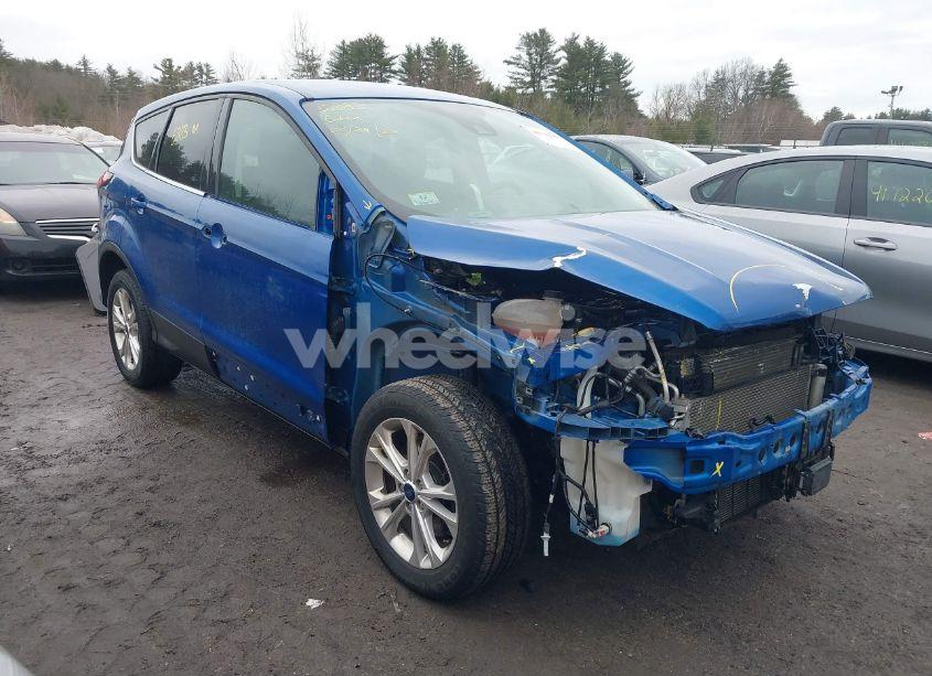 2019 Ford Escape SE (VIN 1FMCU9GD1KUB14255) main photo