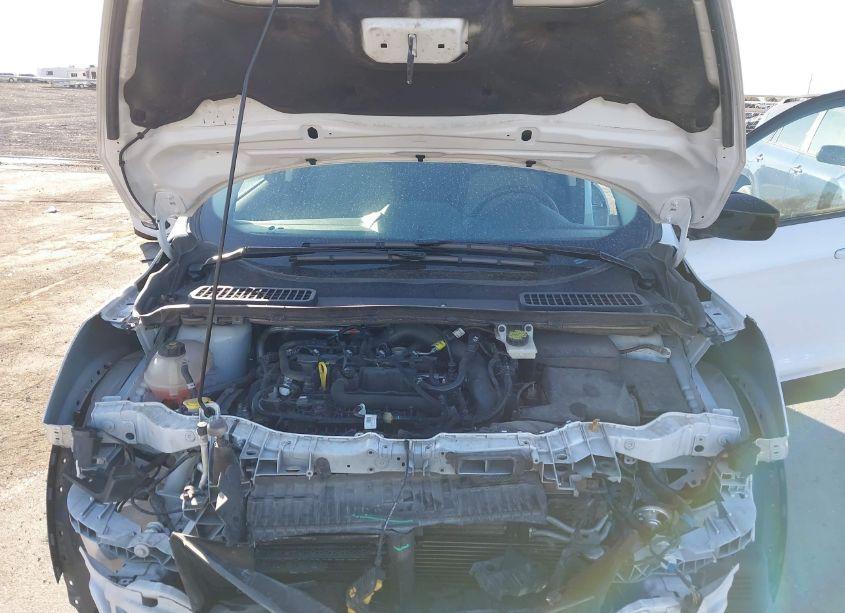 Photo 10 of 2019 Ford Escape SE (VIN 1FMCU9GD1KUB61494)