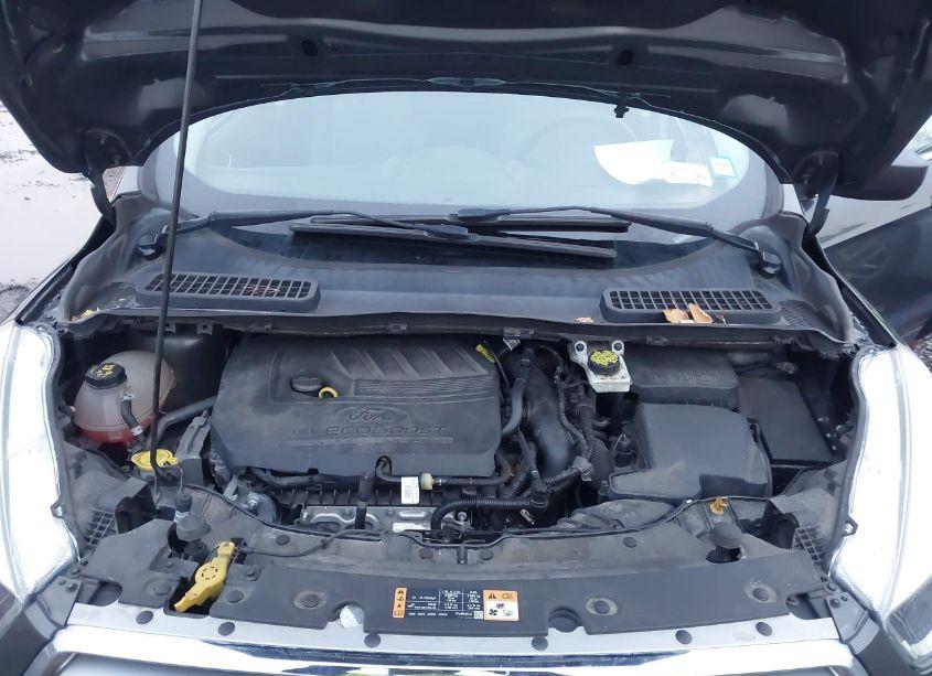 Photo 10 of 2017 Ford Escape SE (VIN 1FMCU9GD2HUC06340)