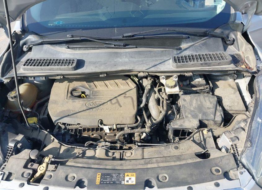 Photo 10 of 2018 Ford Escape SE (VIN 1FMCU9GD2JUB17583)