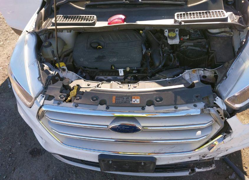 Photo 10 of 2018 Ford Escape SE (VIN 1FMCU9GD2JUB50499)