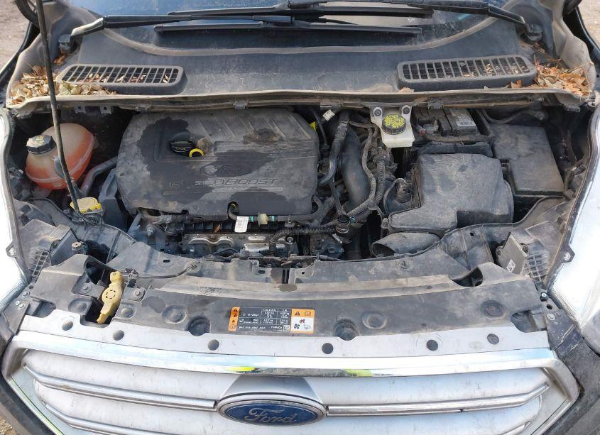 Photo 10 of 2018 Ford Escape SE (VIN 1FMCU9GD2JUD29075)