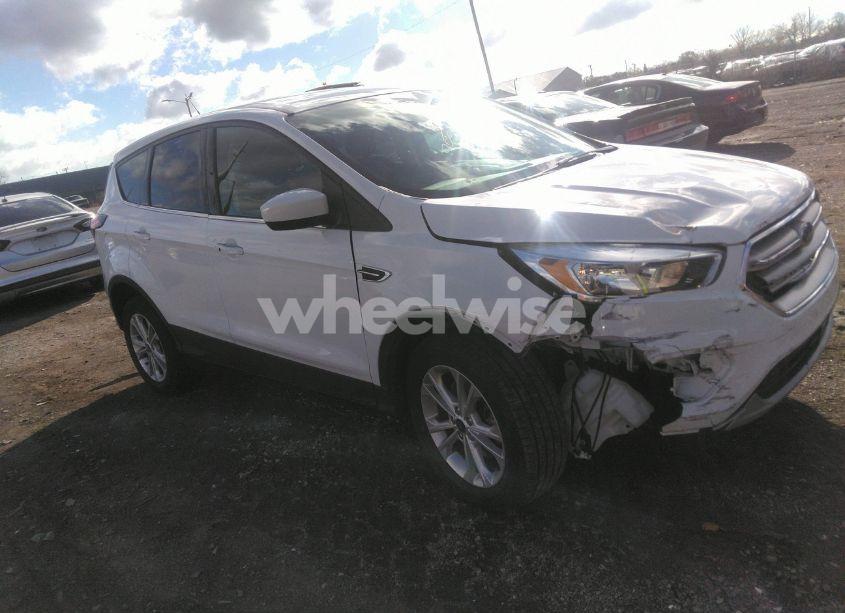 2019 Ford Escape SE (VIN 1FMCU9GD2KUB24311) main photo