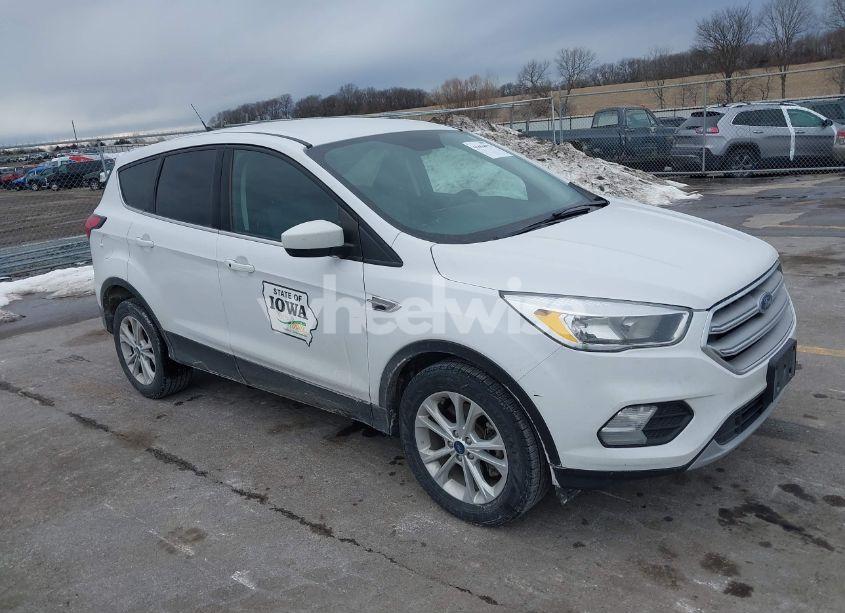 2019 Ford Escape SE (VIN 1FMCU9GD2KUB32022) main photo