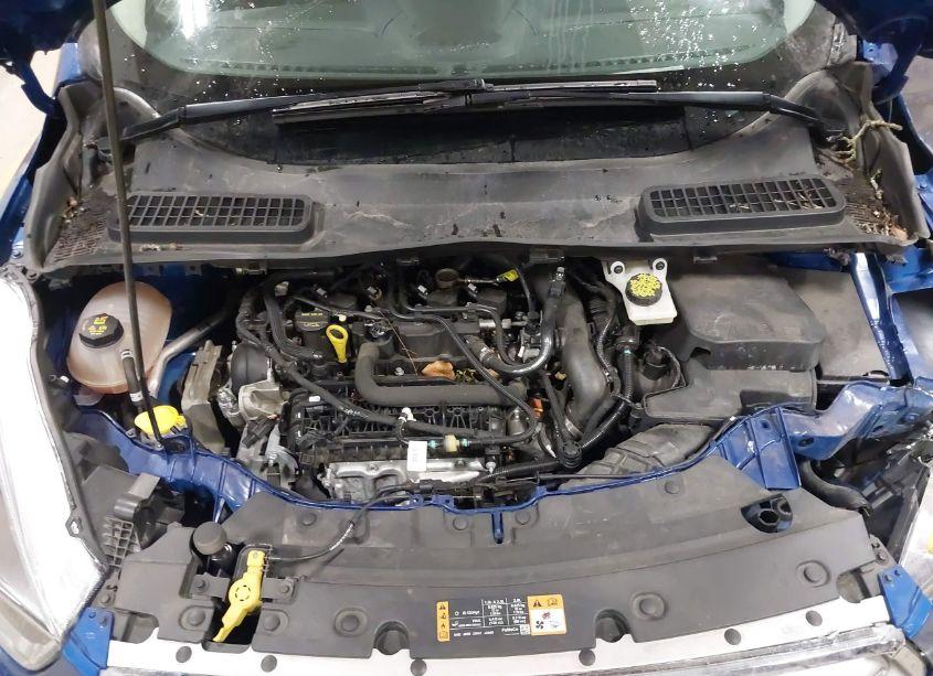 Photo 10 of 2019 Ford Escape SE (VIN 1FMCU9GD2KUB56160)