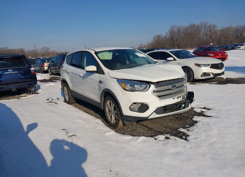 2019 Ford Escape SE (VIN 1FMCU9GD2KUC07558) main photo