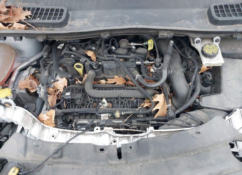 Photo 10 of 2019 Ford Escape SE (VIN 1FMCU9GD2KUC07558)