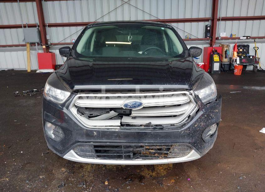 Photo 12 of 2019 Ford Escape SE (VIN 1FMCU9GD2KUC50667)