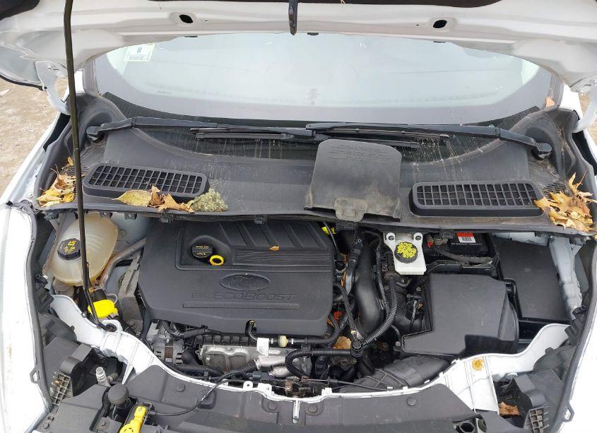 Photo 10 of 2018 Ford Escape SE (VIN 1FMCU9GD3JUD25309)