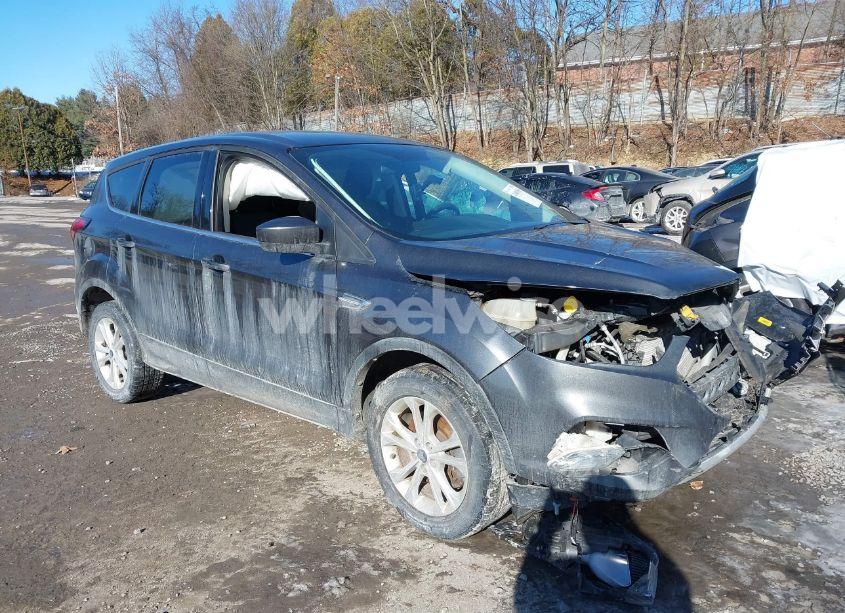 2019 Ford Escape SE (VIN 1FMCU9GD3KUA10477) main photo