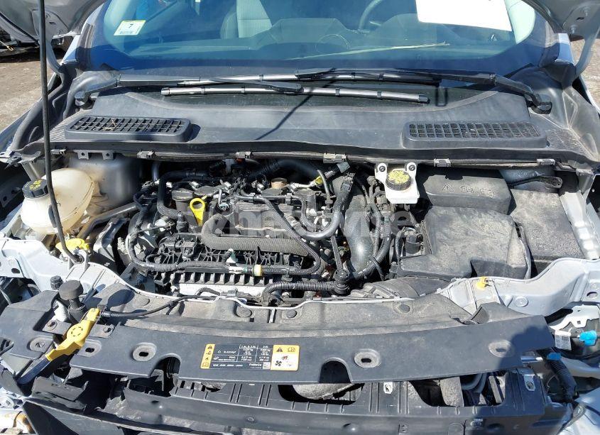 Photo 10 of 2019 Ford Escape SE (VIN 1FMCU9GD3KUA72879)