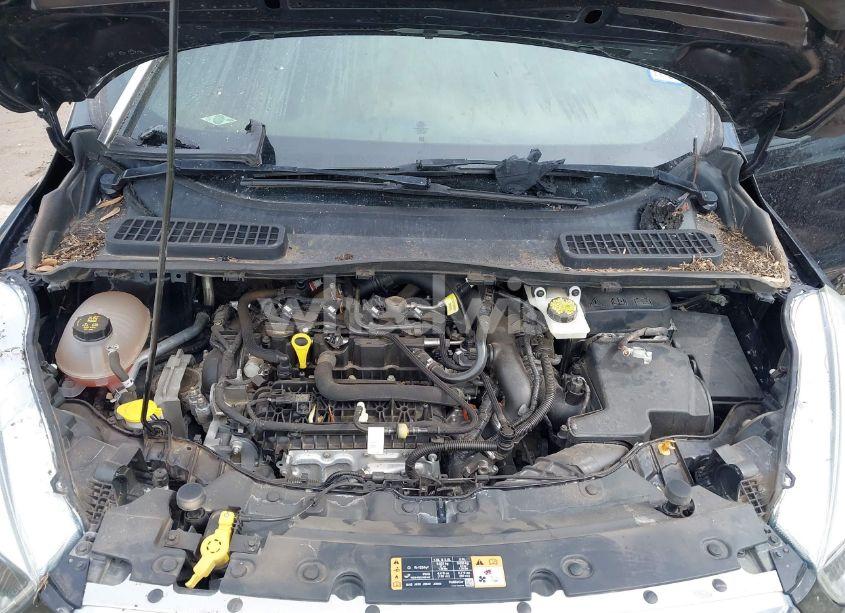 Photo 10 of 2019 Ford Escape SE (VIN 1FMCU9GD3KUB02849)