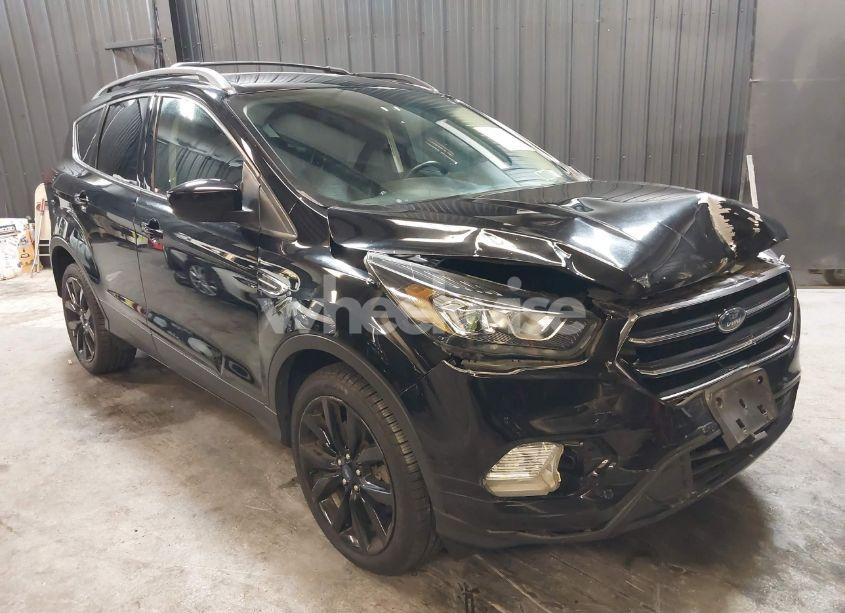2019 Ford Escape SE (VIN 1FMCU9GD3KUB42431) main photo