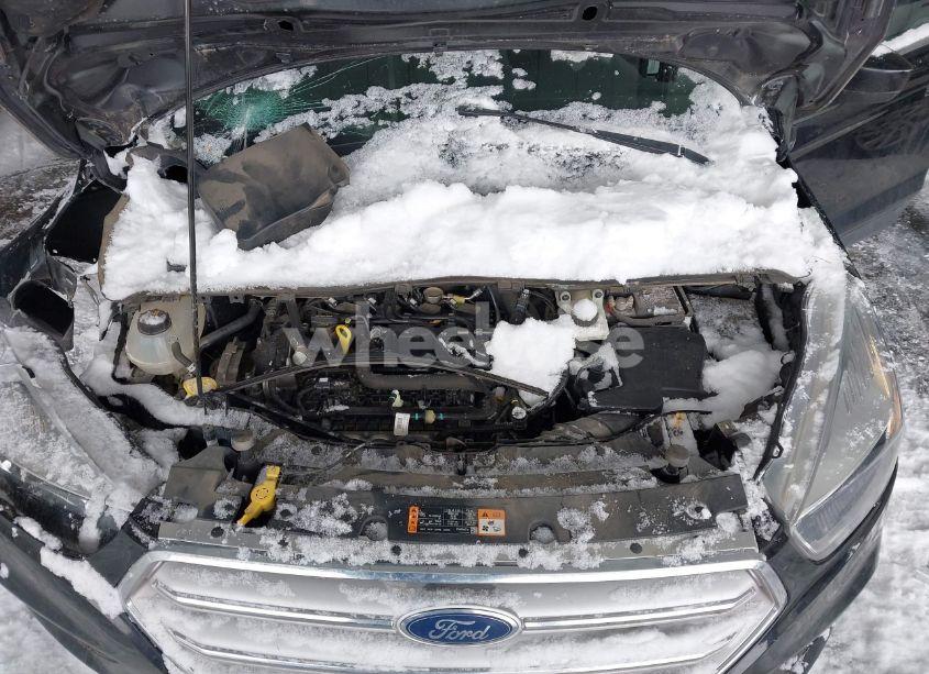 Photo 10 of 2019 Ford Escape SE (VIN 1FMCU9GD3KUC06466)