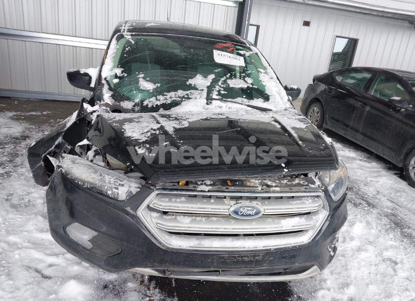 Photo 12 of 2019 Ford Escape SE (VIN 1FMCU9GD3KUC06466)