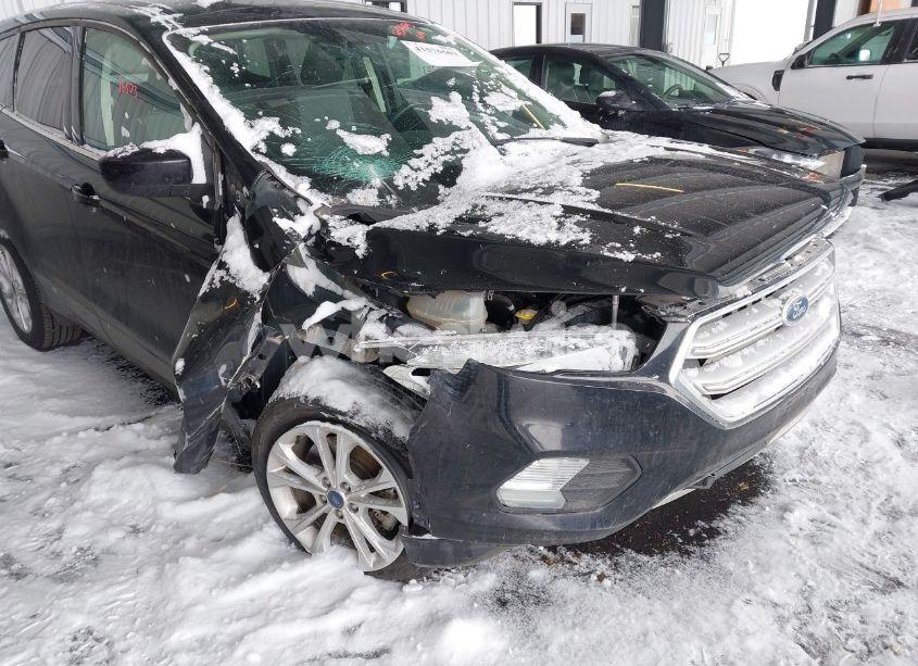 Photo 6 of 2019 Ford Escape SE (VIN 1FMCU9GD3KUC06466)