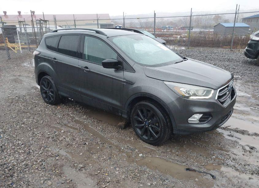 2017 Ford Escape SE (VIN 1FMCU9GD4HUA11677) main photo