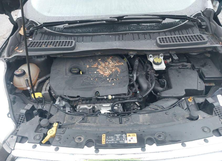 Photo 10 of 2017 Ford Escape SE (VIN 1FMCU9GD4HUE49938)