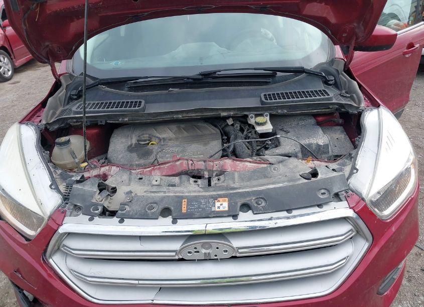 Photo 10 of 2018 Ford Escape SE (VIN 1FMCU9GD4JUB09680)