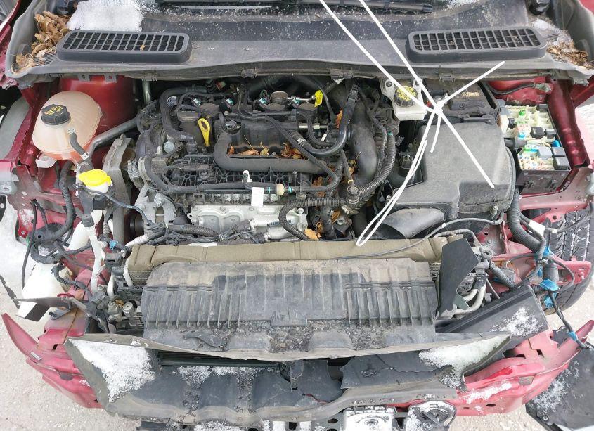 Photo 10 of 2019 Ford Escape SE (VIN 1FMCU9GD4KUA09709)