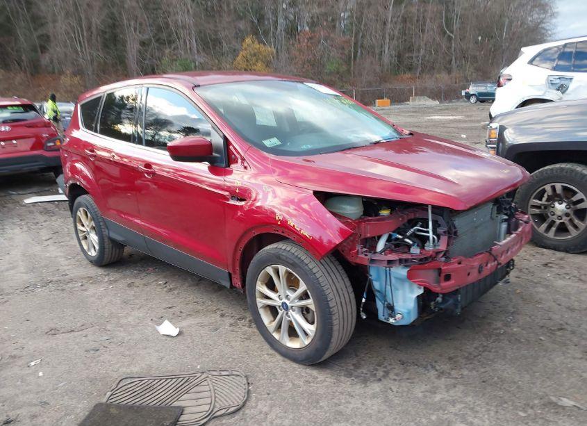 2019 Ford Escape SE (VIN 1FMCU9GD4KUA48610) main photo