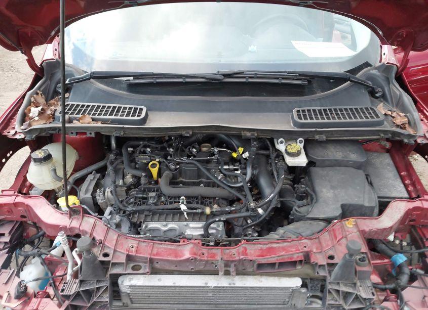 Photo 10 of 2019 Ford Escape SE (VIN 1FMCU9GD4KUA48610)