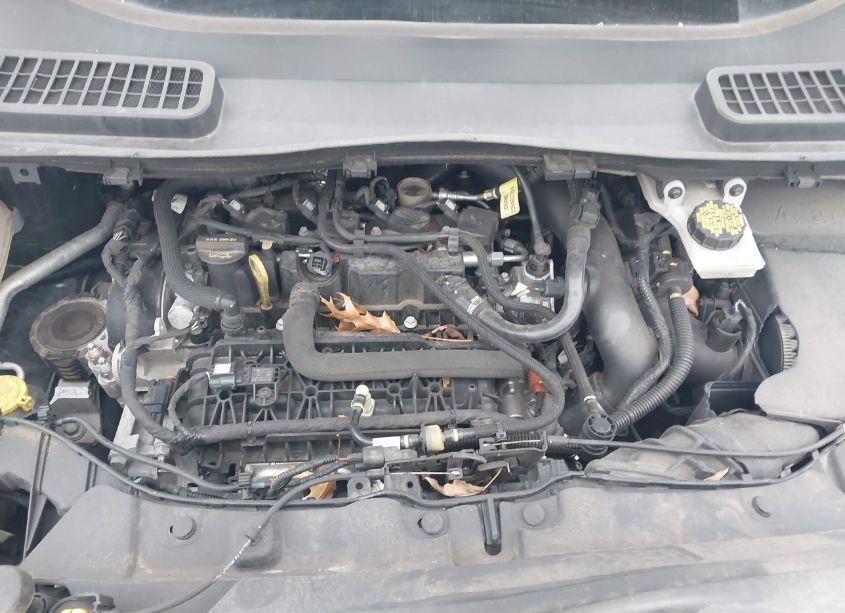 Photo 10 of 2019 Ford Escape SE (VIN 1FMCU9GD4KUA78500)