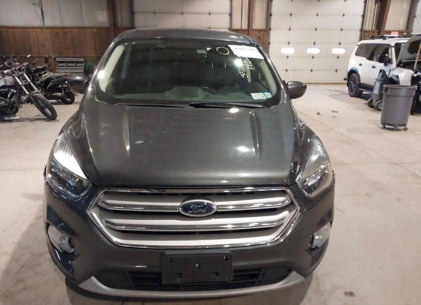 Photo 12 of 2019 Ford Escape SE (VIN 1FMCU9GD4KUA85950)
