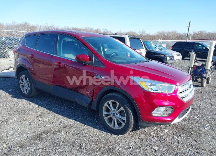 2019 Ford Escape SE (VIN 1FMCU9GD4KUB19353) main photo