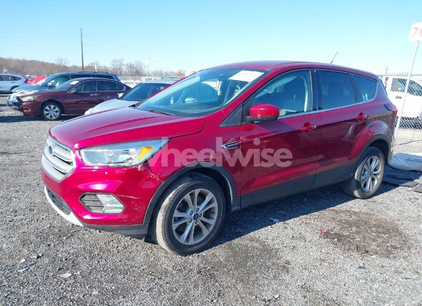 Photo 2 of 2019 Ford Escape SE (VIN 1FMCU9GD4KUB19353)