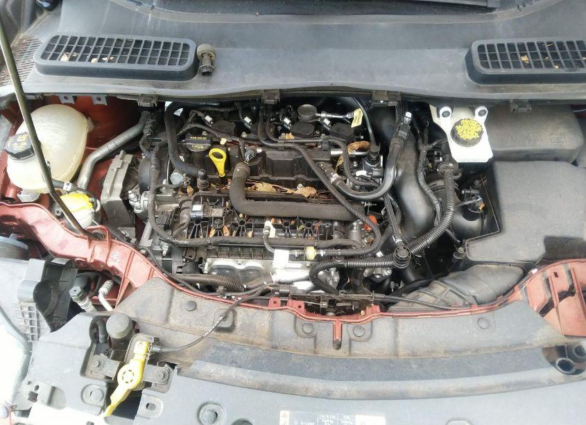 Photo 10 of 2019 Ford Escape SE (VIN 1FMCU9GD4KUB77429)