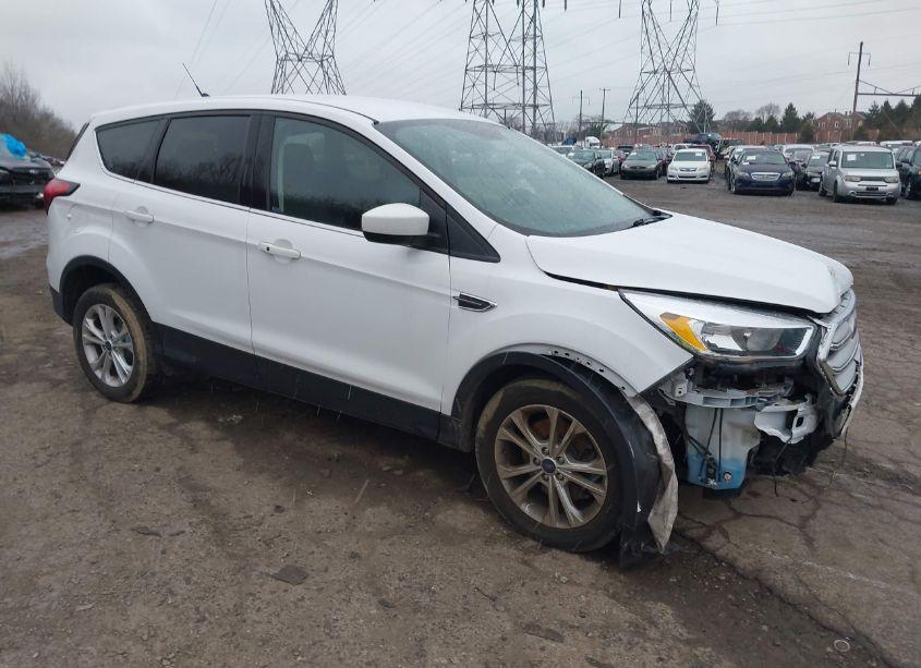2019 Ford Escape SE (VIN 1FMCU9GD4KUC22854) main photo