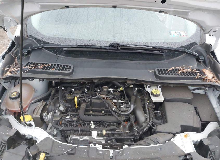 Photo 10 of 2019 Ford Escape SE (VIN 1FMCU9GD4KUC22854)