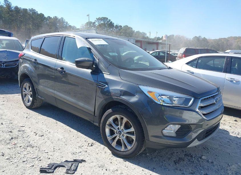 2019 Ford Escape SE (VIN 1FMCU9GD4KUC24880) main photo