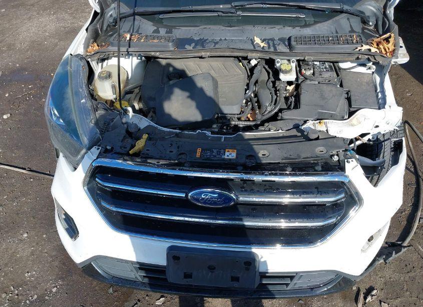 Photo 10 of 2018 Ford Escape SE (VIN 1FMCU9GD5JUB29632)