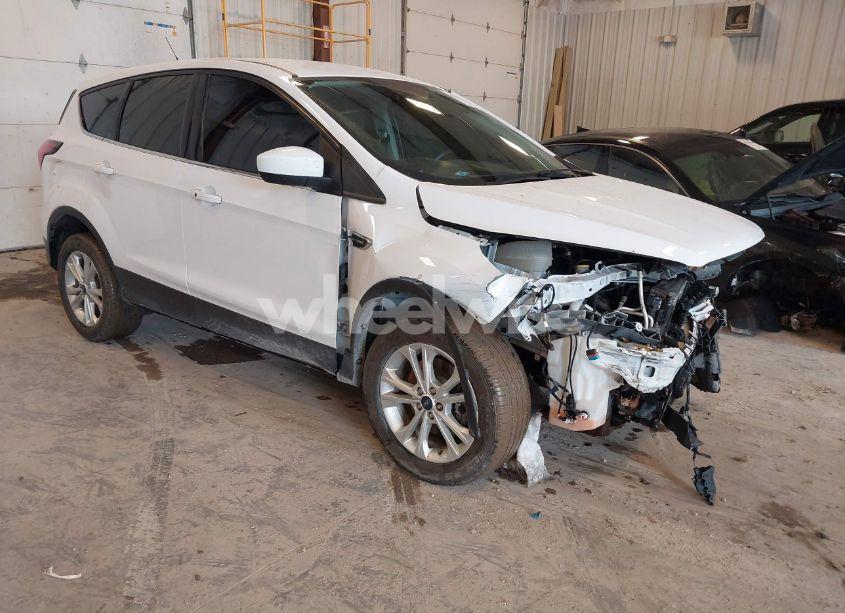 2019 Ford Escape SE (VIN 1FMCU9GD5KUA04227) main photo