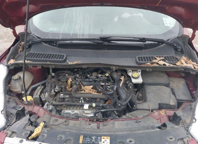 Photo 10 of 2019 Ford Escape SE (VIN 1FMCU9GD5KUA86086)