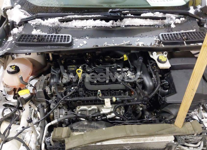 Photo 10 of 2019 Ford Escape SE (VIN 1FMCU9GD5KUA98867)