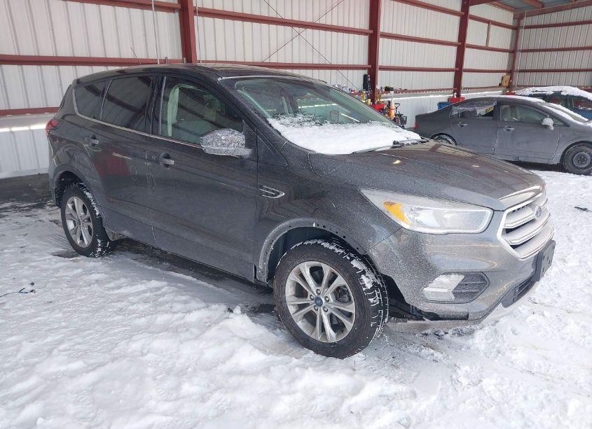 2019 Ford Escape SE (VIN 1FMCU9GD5KUB30684) main photo