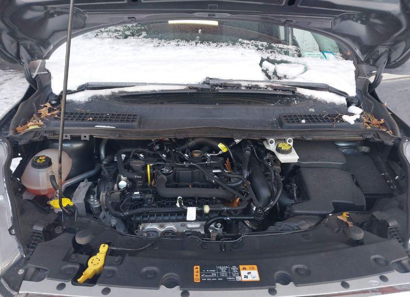 Photo 10 of 2019 Ford Escape SE (VIN 1FMCU9GD5KUB30684)