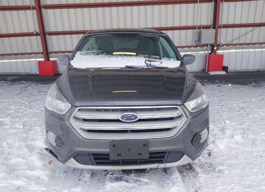 Photo 12 of 2019 Ford Escape SE (VIN 1FMCU9GD5KUB30684)
