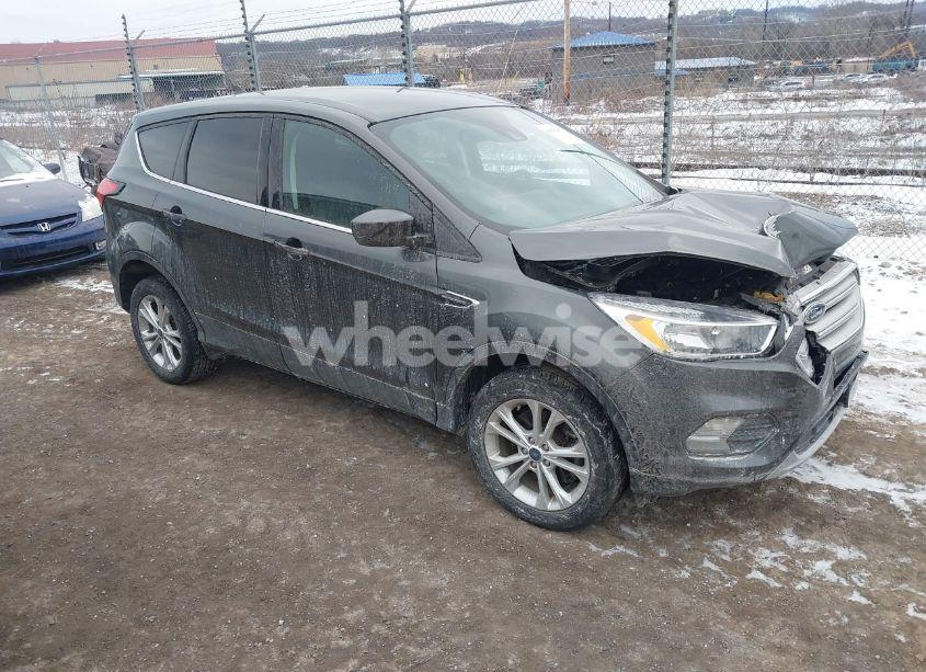 2019 Ford Escape SE (VIN 1FMCU9GD5KUB38428) main photo