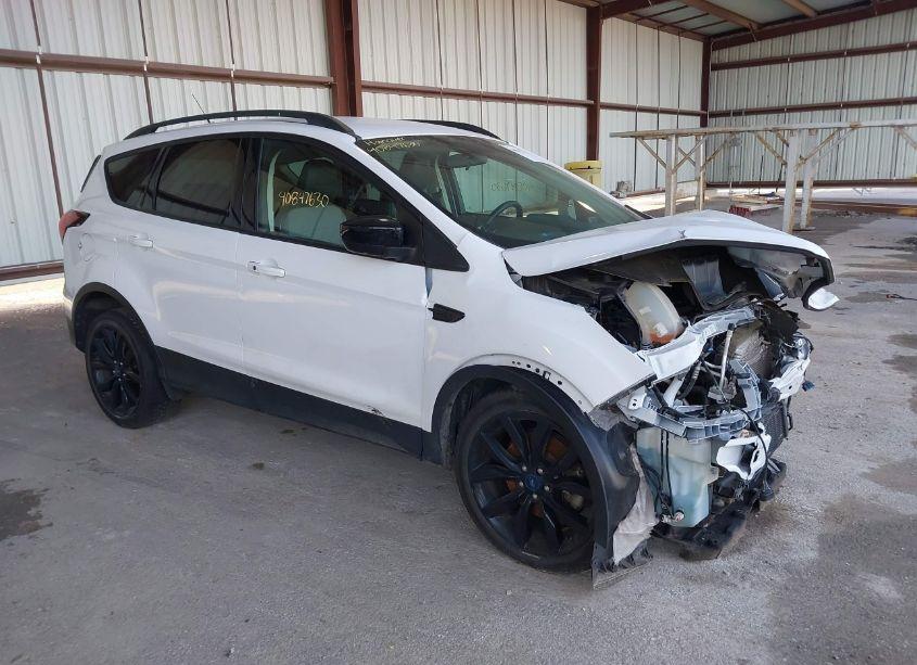 2019 Ford Escape SE (VIN 1FMCU9GD5KUB50952) main photo