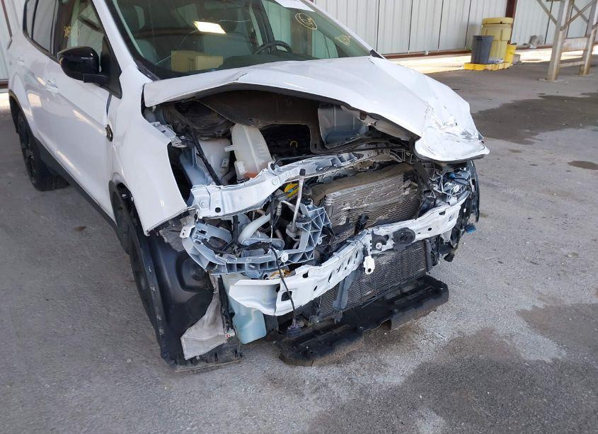 Photo 18 of 2019 Ford Escape SE (VIN 1FMCU9GD5KUB50952)