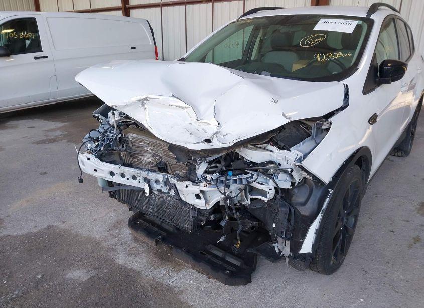 Photo 6 of 2019 Ford Escape SE (VIN 1FMCU9GD5KUB50952)